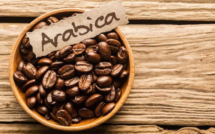 ca phe arabica la gi dac diem huong vi va cac loai pho bien 202407151631